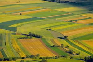 agriculture-france-developpement-futur-marche-300x200