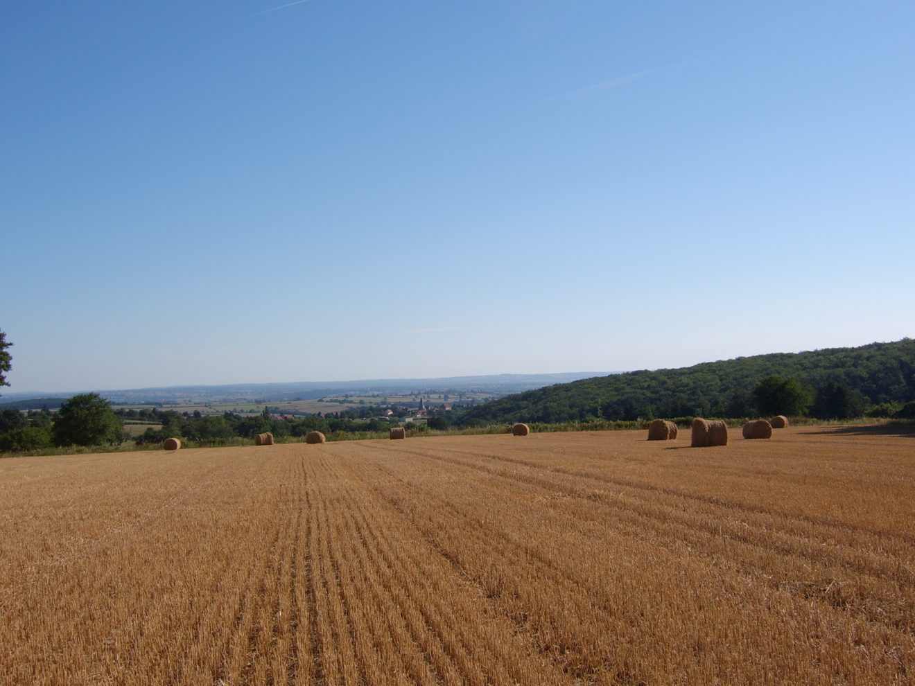 Allier moisson 2005 (2)