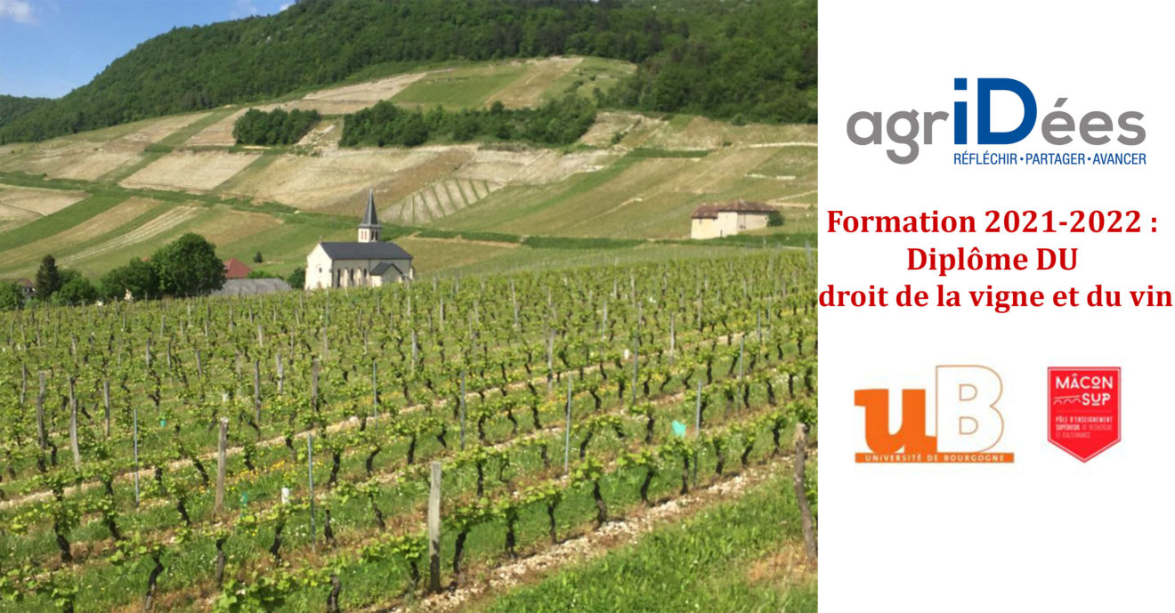 Formation-DU-vigne-et-vin-2021-2022