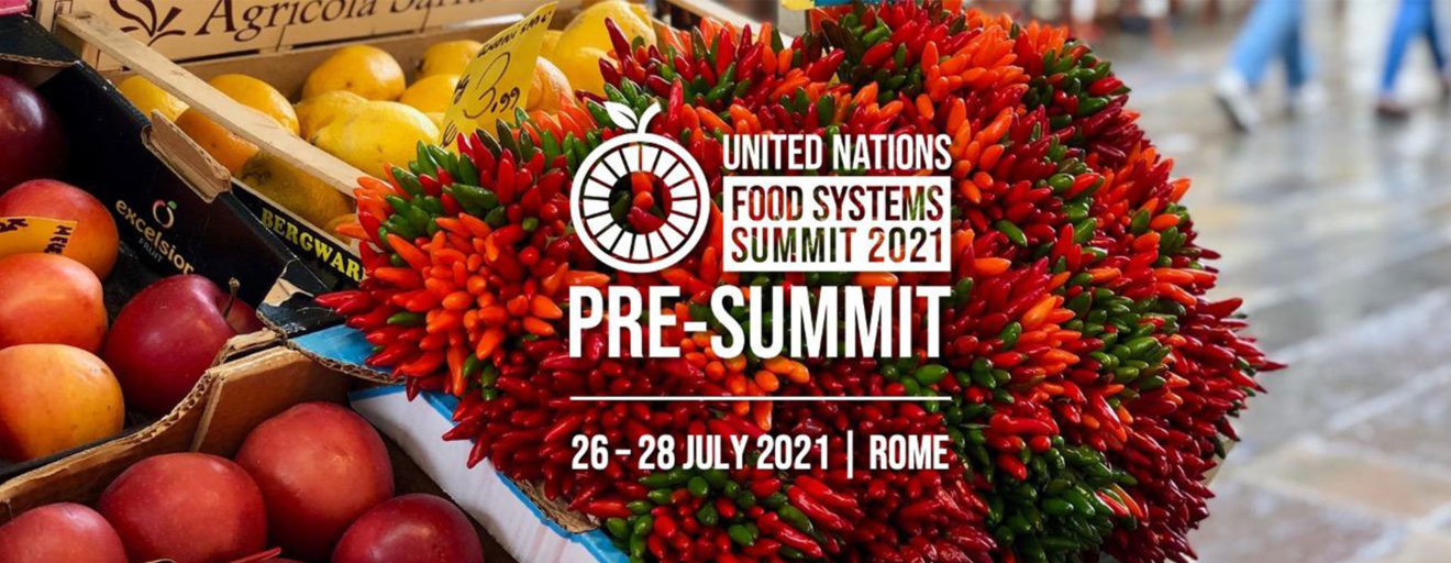 Pre-summit-Rome-UN-Food-Systems-2021-web