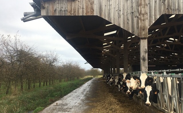 Vache-Méthanisation-GD-Agridees2021