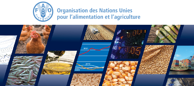FAO-Depenses mondiales alimentation