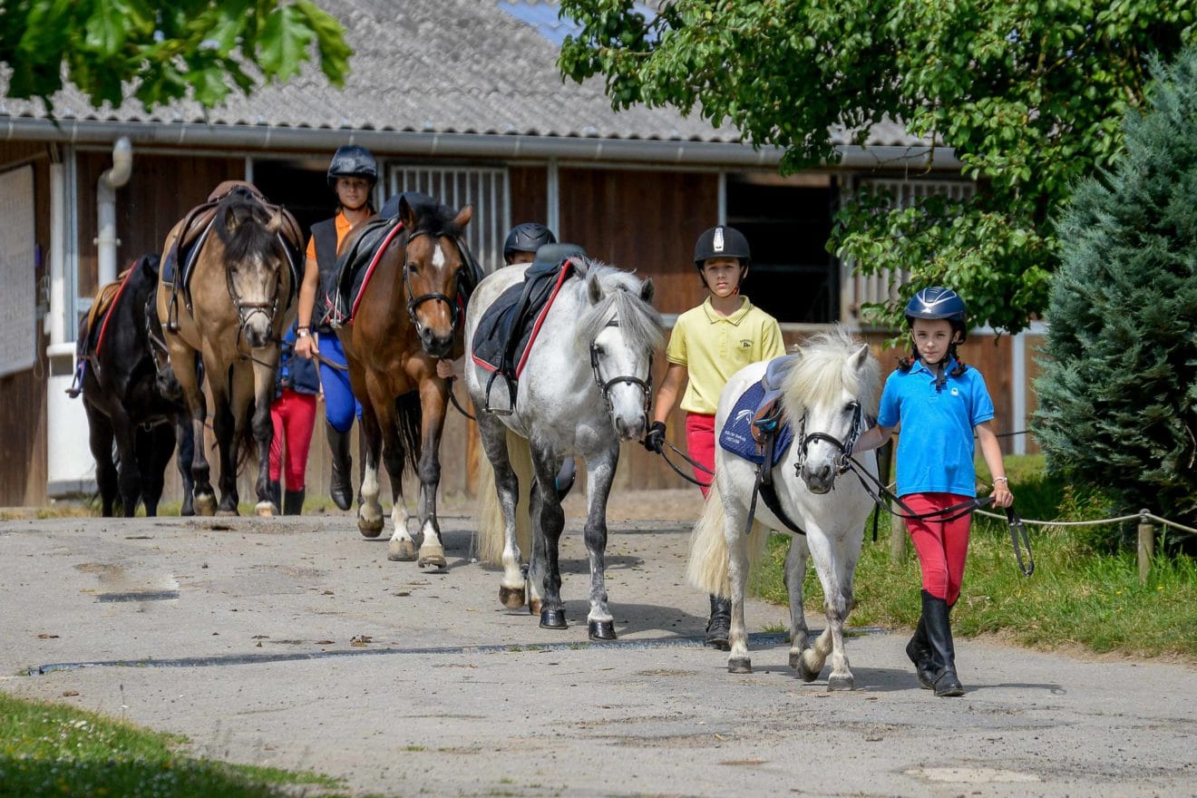 2021207 TVA Chevaux ffe-3537