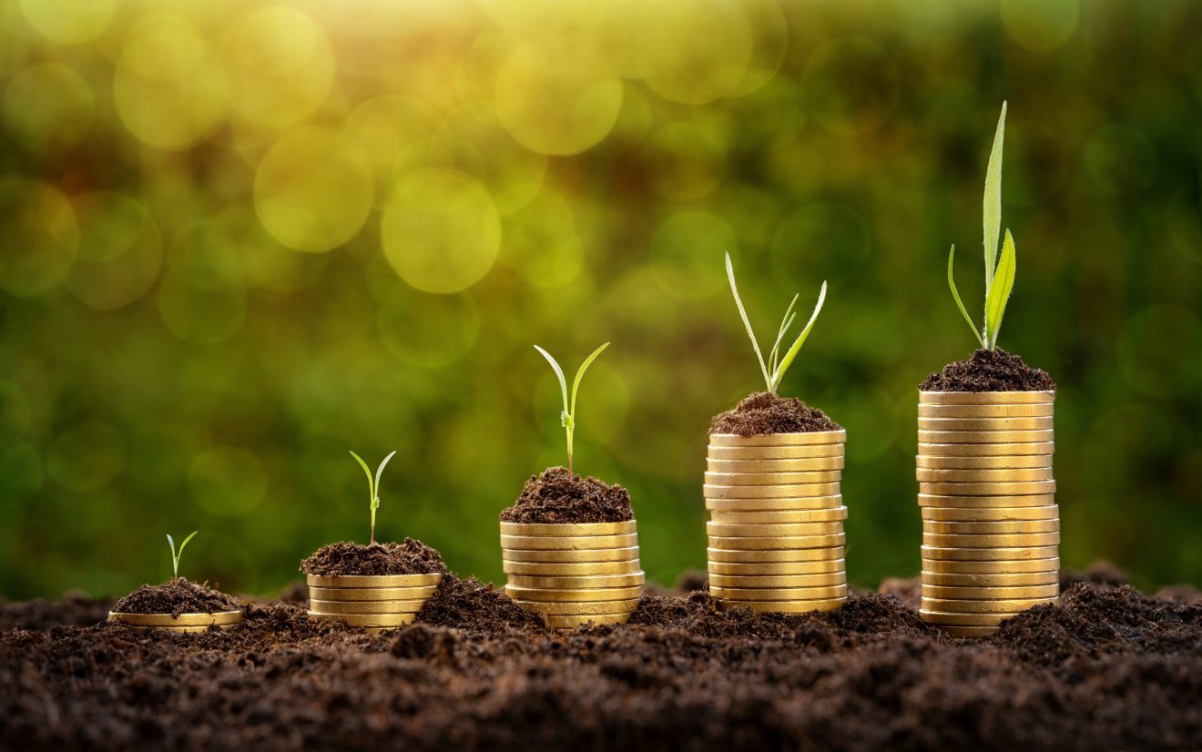 Investment concept