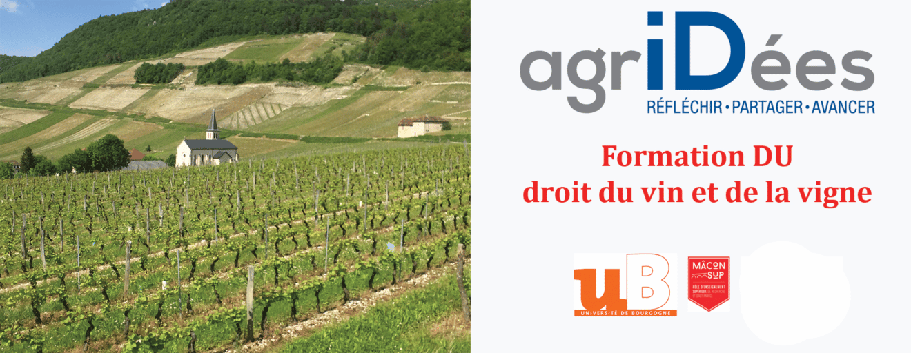 Formation DU droit de la vigne et du vin