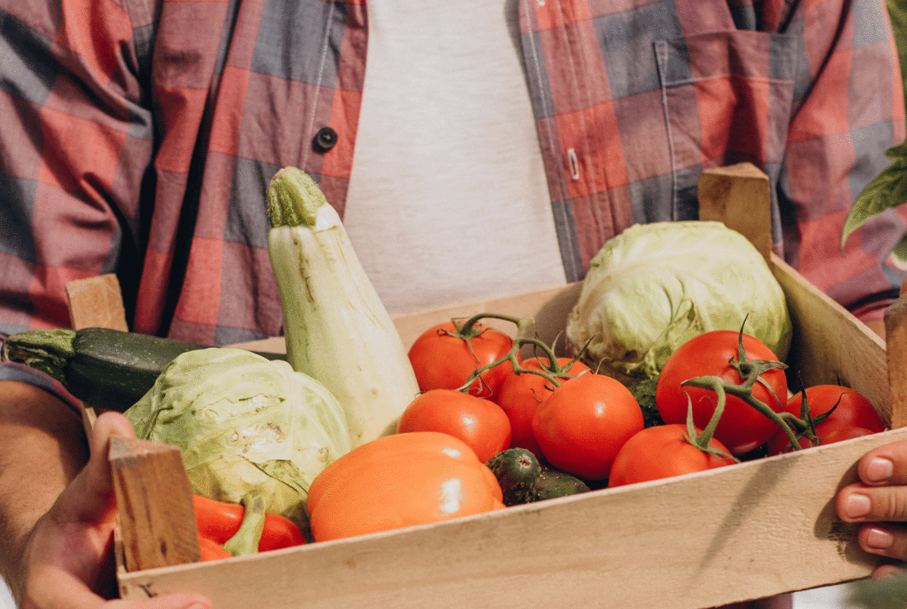 Agriculteur-cagette-de-légumes-Freepik-Senivpetro-scaped