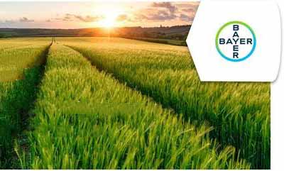 Bayer-Agriculture-et-transition-écologique-web