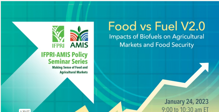 Food vs biofuel-IFPRI AMIS