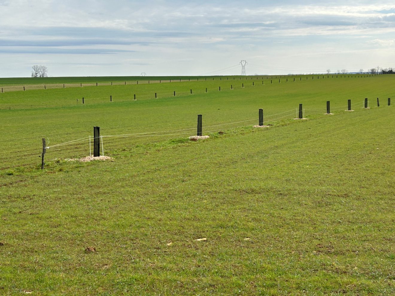 Agroforesterie-Agridees