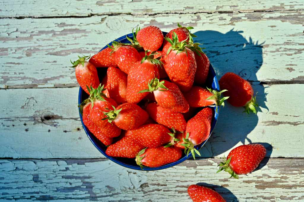 Bol-fraises-Fraisesdefrance-web