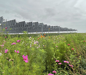 Canopée-Brouchy -démonstrateur agrivoltaïque de TSE